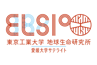 elsi
